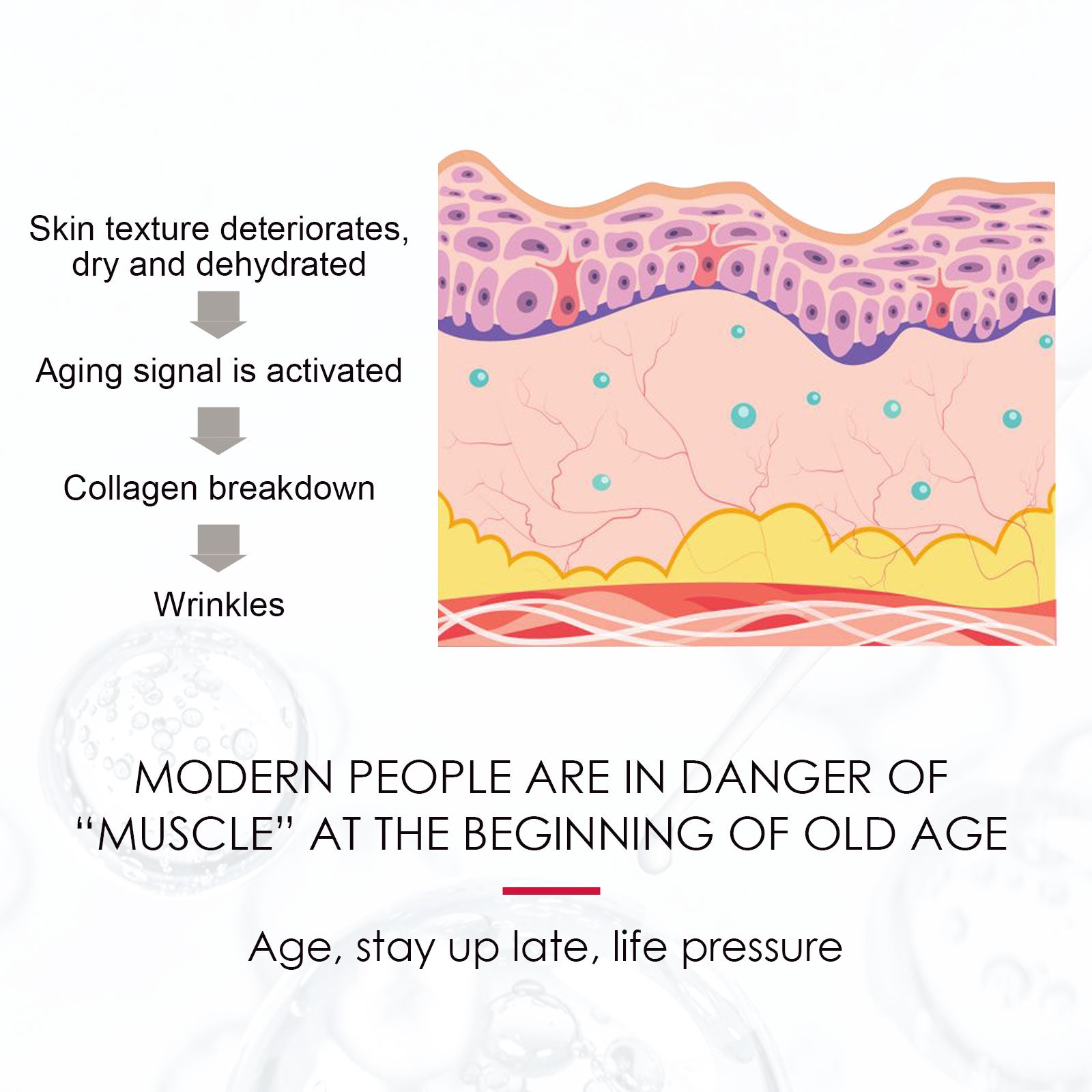 Rosehip Oil for Face, Body & Hair – Hydration & Care