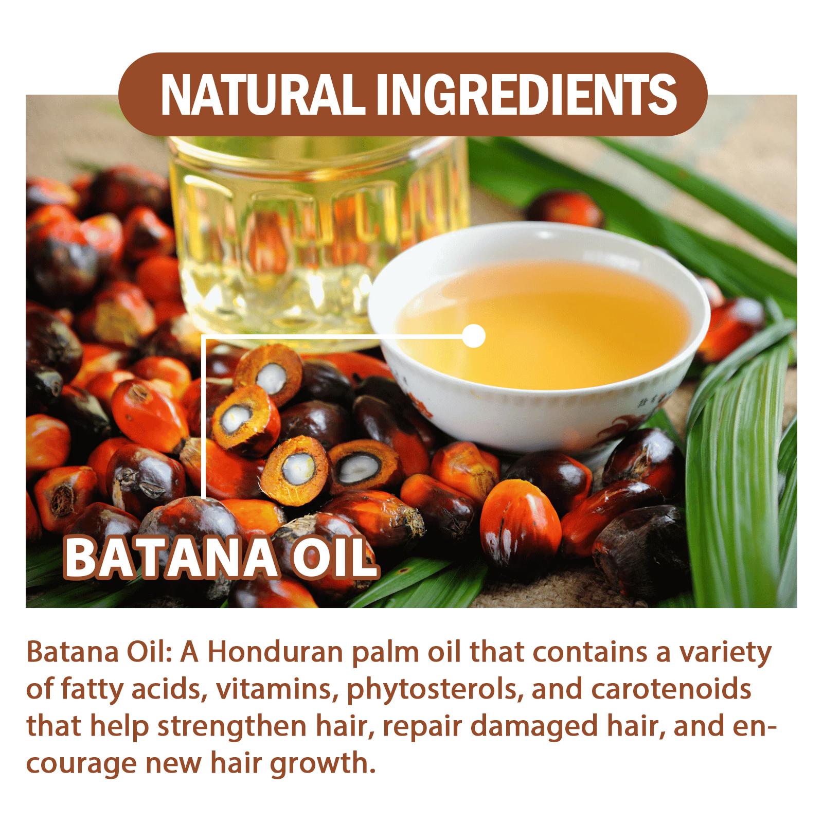 Honduras Batana Oil – Hair Nutrition & Silky Smooth Hair