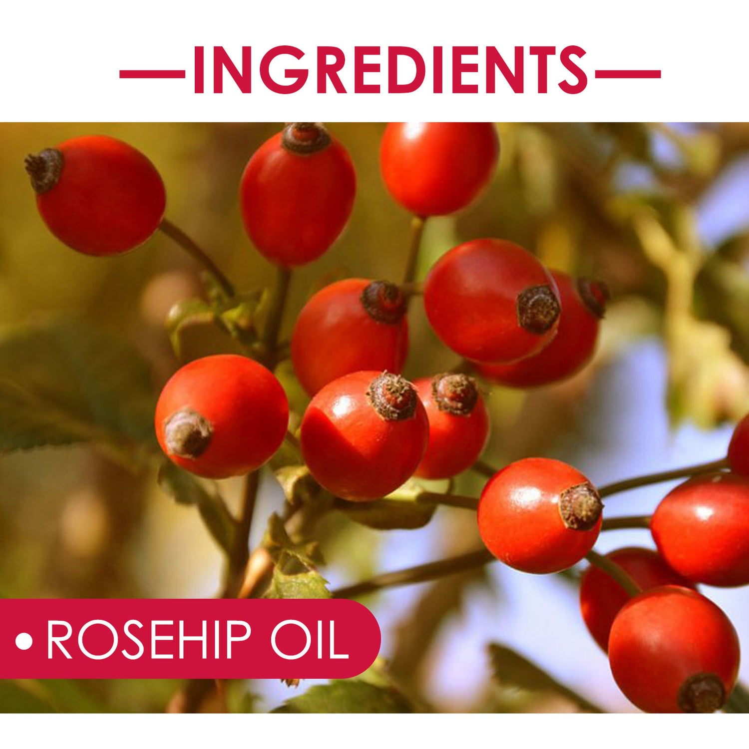 Rosehip Oil for Face, Body &amp; Hair – Hydration &amp; Care