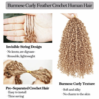 Honey Blonde Kinky Curly Crochet Extensions - Opaline Glam Beauty