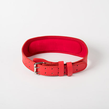 fitness waist support belt